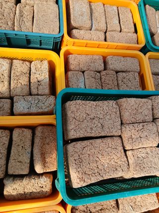 차민주님의 자유주제 · 자유게시판 작성글 사진