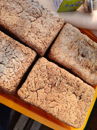 차민주님의 자유주제 · 자유게시판 작성글 사진