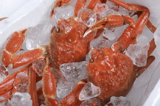 김태혁님의 작성글 사진