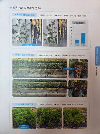 대산농사대장님의 자유주제 · 자유게시판 작성글 사진