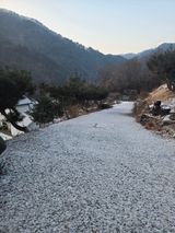 팜모닝 자유주제·자유게시판 게시글 이미지