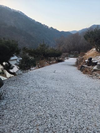 강원사랑인님의 자유주제 · 자유게시판 작성글 사진