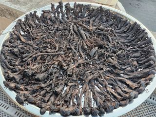 해촌(서정술)50님의 자유주제 · 자유게시판 작성글 사진