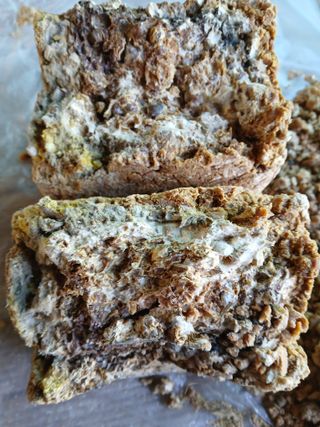 차민주님의 자유주제 · 자유게시판 작성글 사진