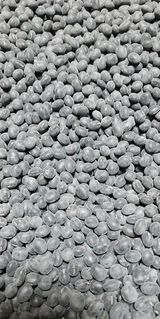 팜모닝 자유주제·자유게시판 게시글 이미지