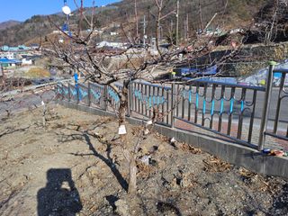 김용대님의 자유주제 · 자유게시판 작성글 사진