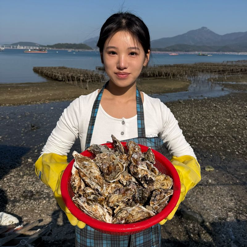 장터 상품 [통영 석화 삼배체 바위굴 1kg[산지직송]] 썸네일