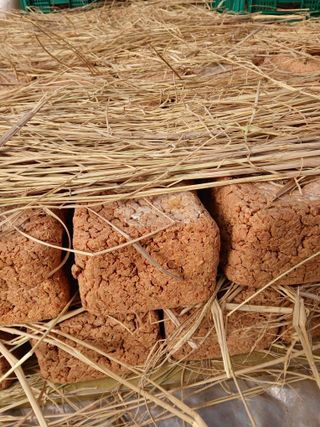 차민주님의 자유주제 · 자유게시판 작성글 사진