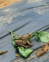 팜모닝 자유주제·사진전 게시글 이미지