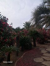 이천순님의 자유주제·자유게시판 작성글 사진