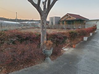 신득경님의 자유주제 · 자유게시판 작성글 사진