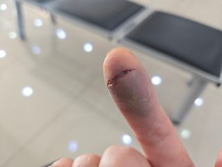 강원사랑인님의 자유주제 · 자유게시판 작성글 사진