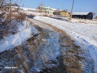 바위돌 심재성님의 기타작물 · 영농일지 작성글 사진
