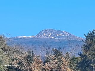 이천순님의 자유주제·자유게시판 작성글 사진