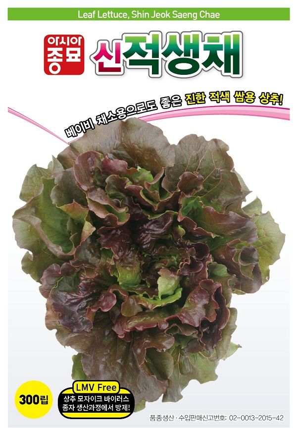 씨앗드림님의 장터 판매 상품 [적생채 아삭이 상추 300립] 첨부 사진
