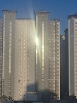 팜모닝 자유주제·자유게시판 게시글 이미지