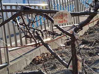 김용대님의 자유주제 · 자유게시판 작성글 사진