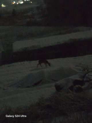 소병찬님의 농사, 무엇이든 물어보세요! · 참여글 작성글 사진