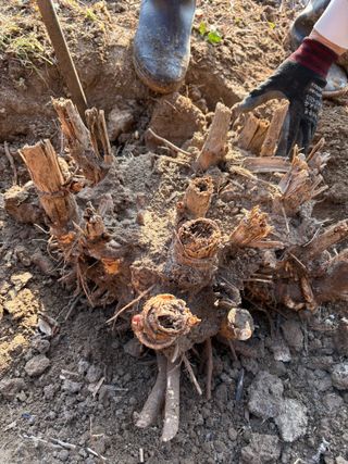 조성보님의 자유주제 · 자유게시판 작성글 사진