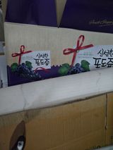 팜모닝 자유주제·사진전 게시글 이미지