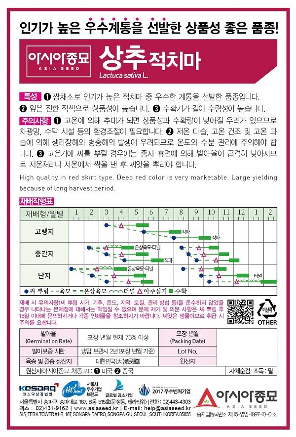 씨앗드림님의 장터 판매 상품 [적상추 적치마 3000립] 첨부 사진