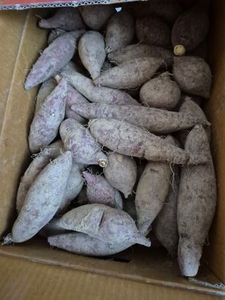 귤19190님의 작성글 사진