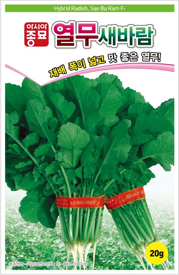 씨앗드림님의 장터 판매 상품 [새바람 열무 20그램] 첨부 사진