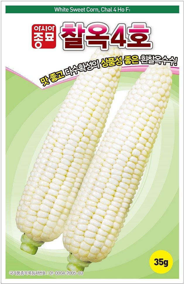 씨앗드림님의 장터 판매 상품 [찰옥수수 35그램] 첨부 사진