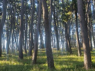 최도윤(중고농기계)님의 자유주제 · 자유게시판 작성글 사진