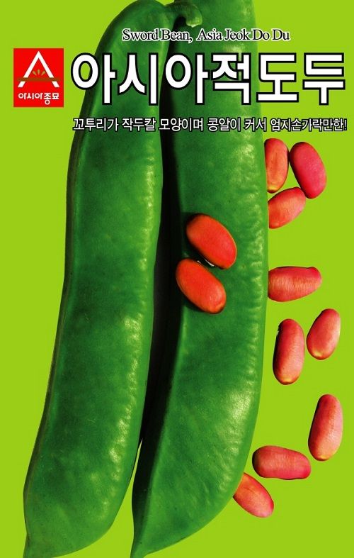 씨앗드림님의 장터 판매 상품 [적도두 작두콩 5립] 첨부 사진