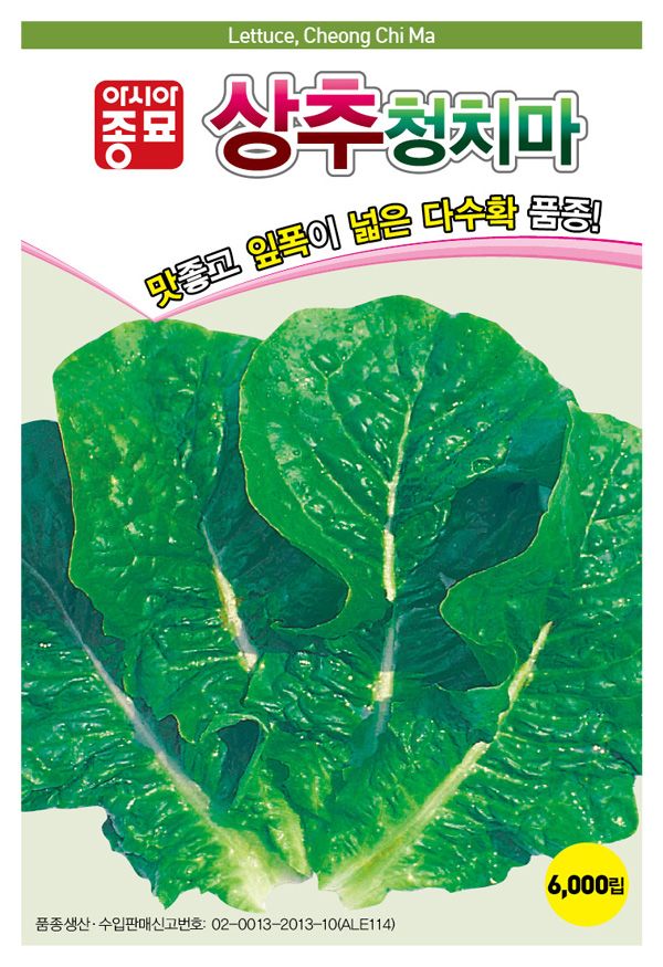 씨앗드림님의 장터 판매 상품 [청상추 청치마 3000립] 첨부 사진