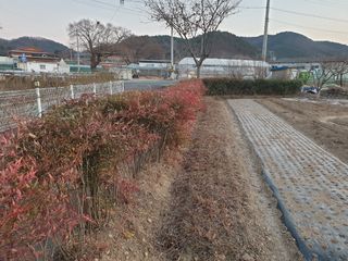 신득경님의 자유주제 · 자유게시판 작성글 사진