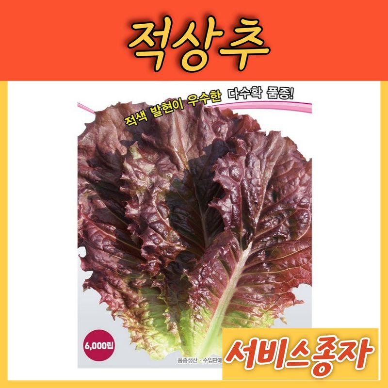 장터 상품 [적상추 적치마 3000립] 썸네일