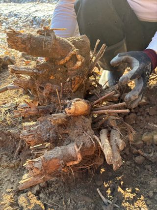 조성보님의 자유주제 · 자유게시판 작성글 사진