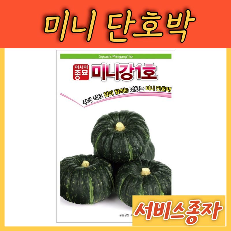 장터 상품 [미니 단호박 미니강 10립] 썸네일