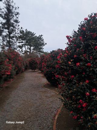 이천순님의 자유주제 · 자유게시판 작성글 사진