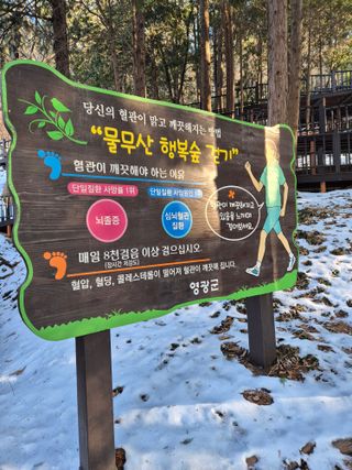 김영진(전남영광)님의 자유주제 · 자유게시판 작성글 사진