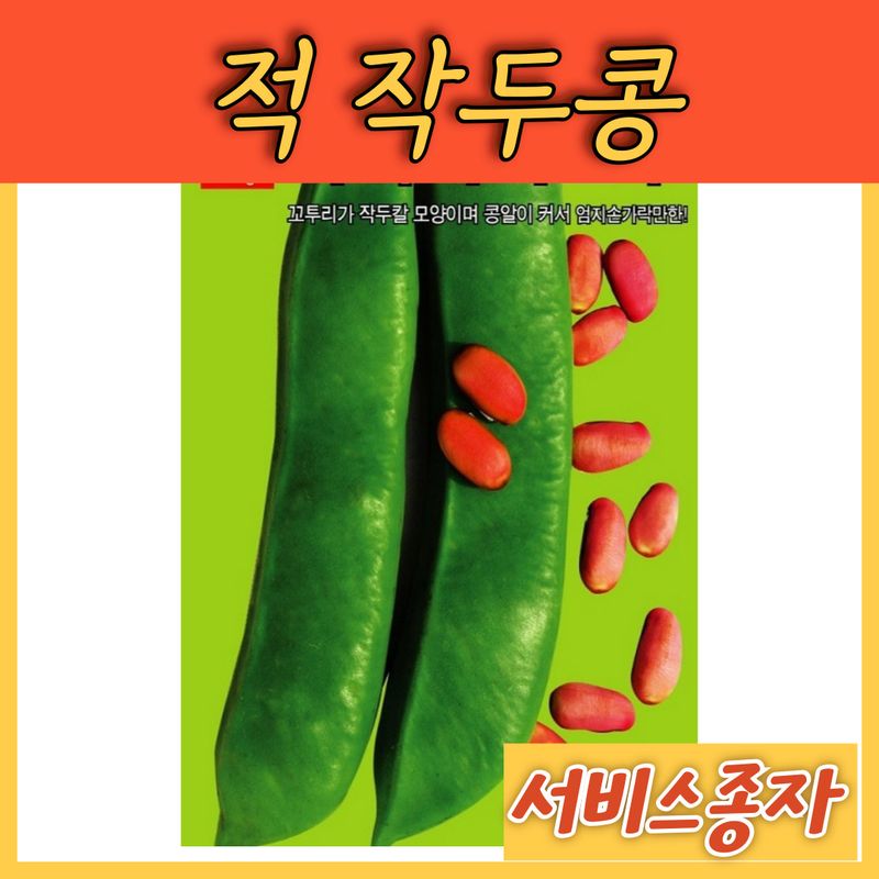 장터 상품 [적도두 작두콩 5립] 썸네일
