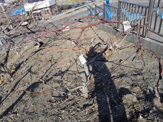 김용대님의 자유주제 · 자유게시판 작성글 사진