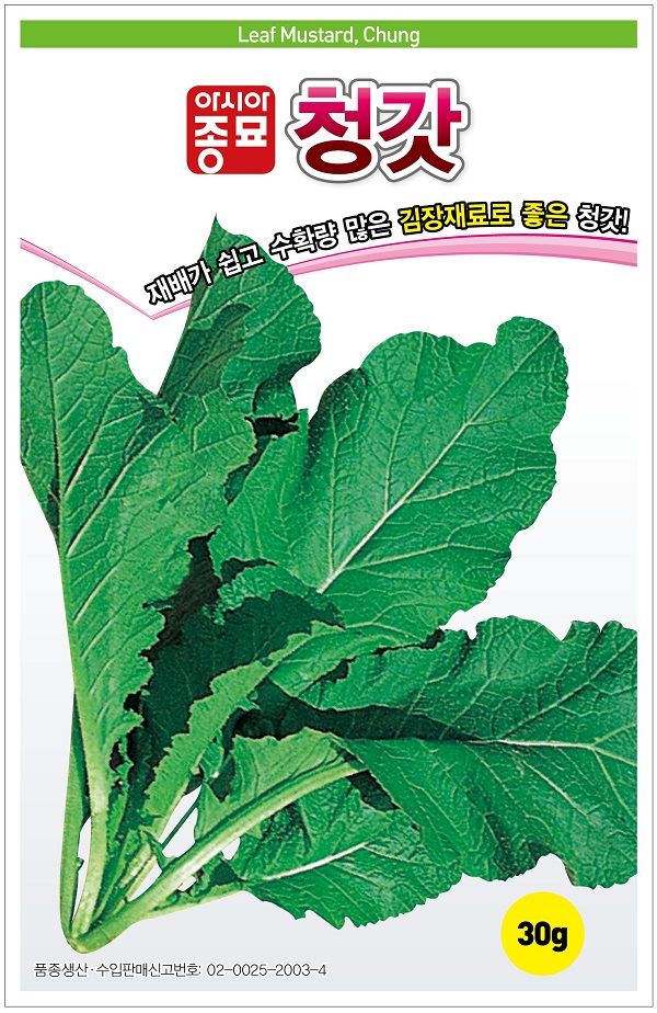 씨앗드림님의 장터 판매 상품 [청갓 30그램] 첨부 사진