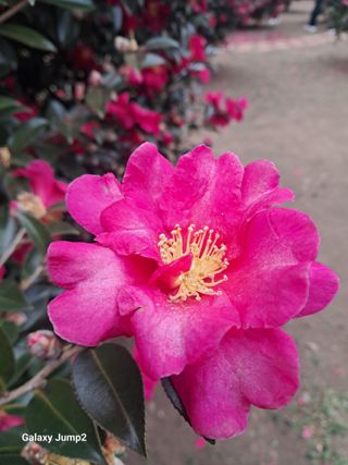 이천순님의 자유주제 · 자유게시판 작성글 사진