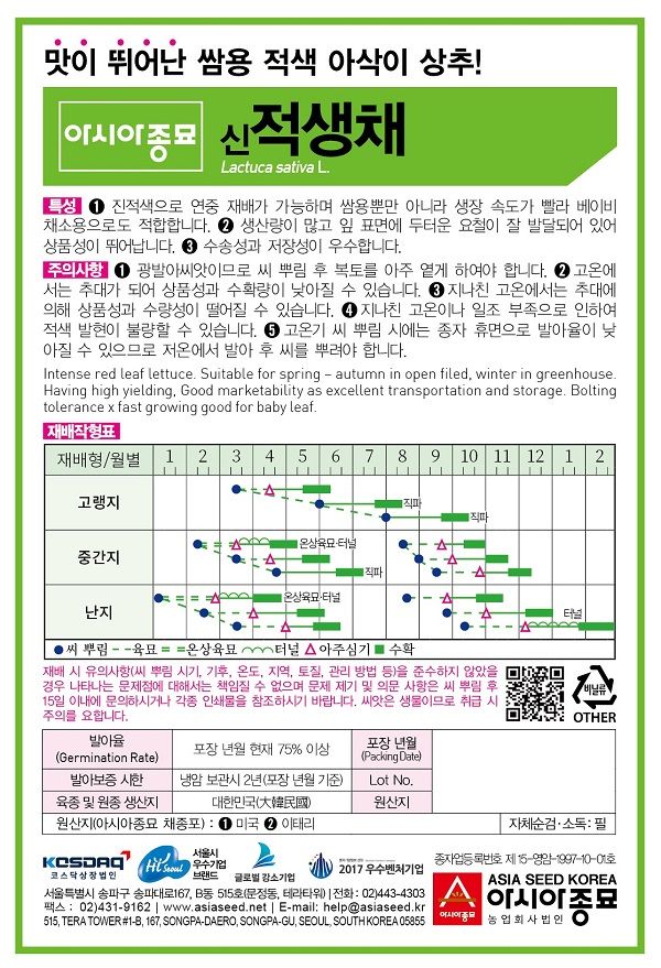 씨앗드림님의 장터 판매 상품 [적생채 아삭이 상추 300립] 첨부 사진