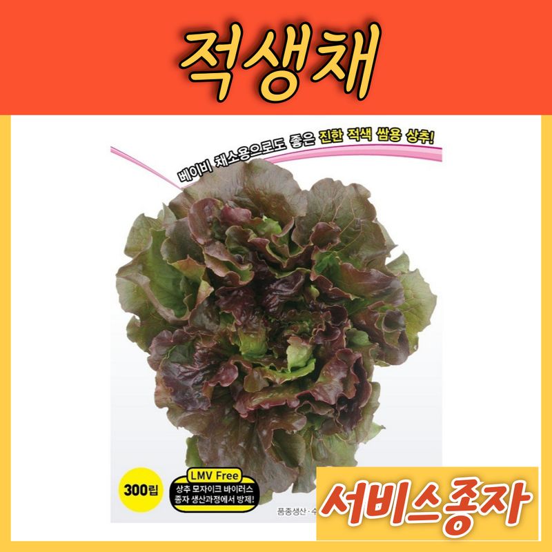 장터 상품 [적생채 아삭이 상추 300립] 썸네일