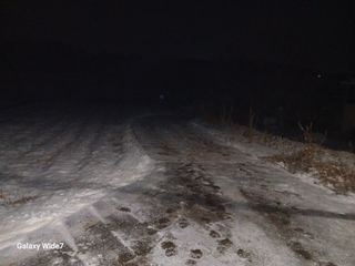바위돌 심재성님의 기타작물 · 영농일지 작성글 사진