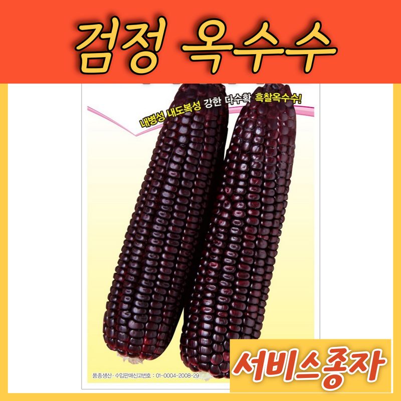 장터 상품 [검정 옥수수 30그램] 썸네일