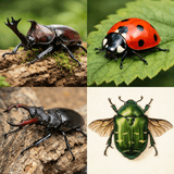 팜모닝 농사, 무엇이든 물어보세요!·참여글 게시글 이미지