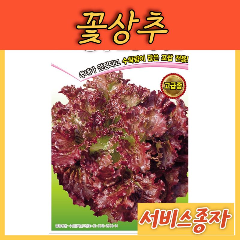 장터 상품 [꽃상추 선홍적축면 3000립] 썸네일