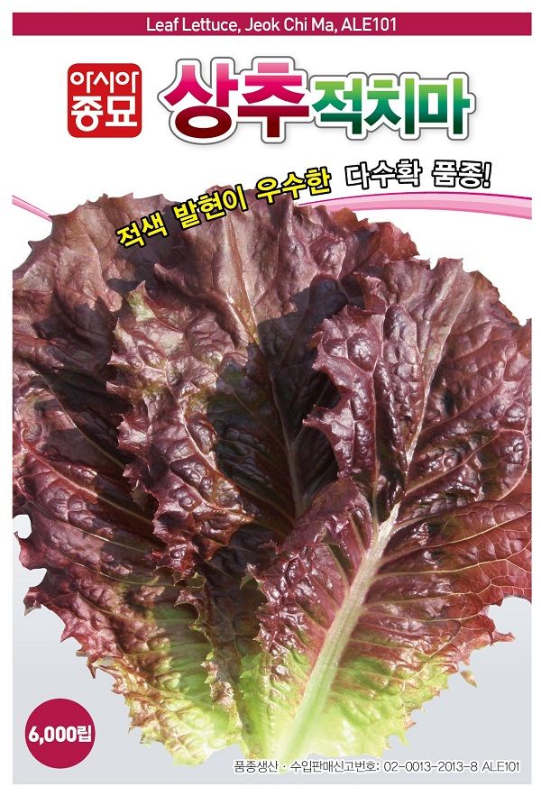 씨앗드림님의 장터 판매 상품 [적상추 적치마 3000립] 첨부 사진