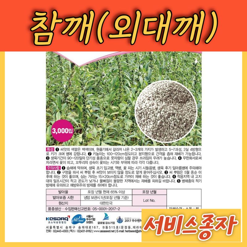 장터 상품 [참깨 코팅 외대깨 대박참깨 3000립 ] 썸네일