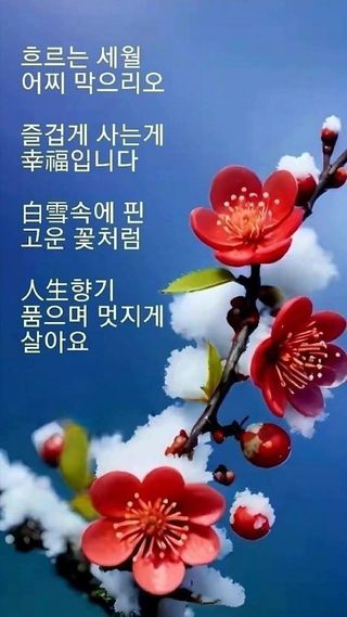 공주유구 구계박만호님의 작성글 사진